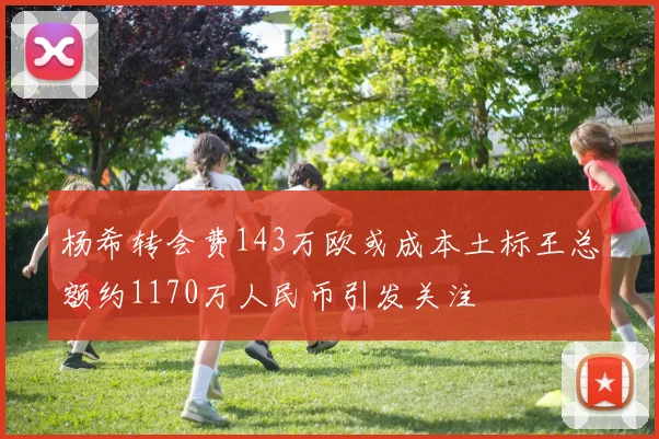 杨希转会费143万欧或成本土标王总额约1170万人民币引发关注