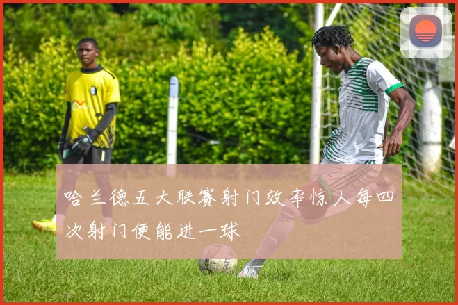 哈兰德五大联赛射门效率惊人每四次射门便能进一球