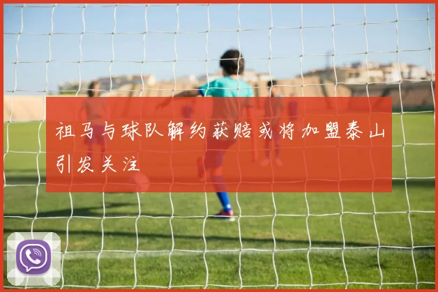 祖马与球队解约获赔或将加盟泰山引发关注