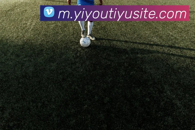 易游体育平台生态图